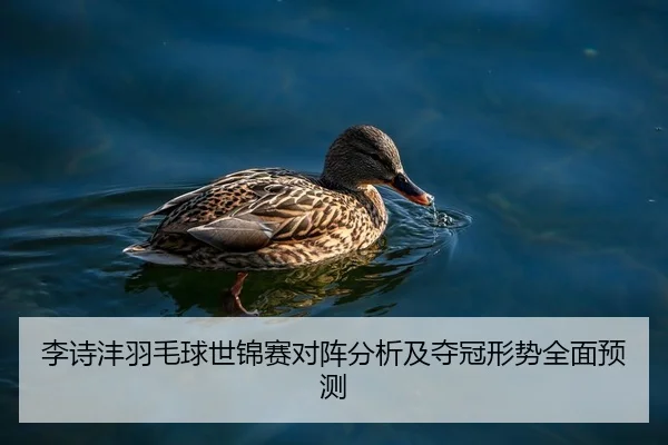 李诗沣羽毛球世锦赛对阵分析及夺冠形势全面预测